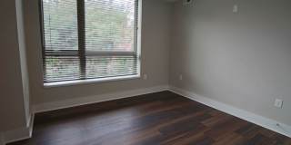 Main2525 Gallery 42