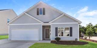 163 Dorian Loop Gallery 1