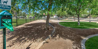 Aster on University Gallery 23