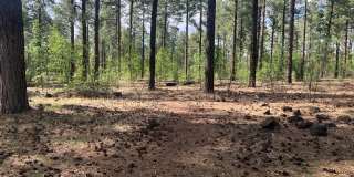 Updated Townhouse backed by National Forest Gallery 47