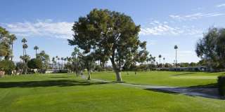 501 Desert Lakes Cir Gallery 3