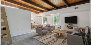 Glenmont Forest Gallery 7