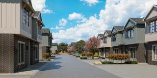 Village at Medical Gallery 2