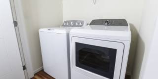 Juniper Square - 55+ Active Adult Apartment Homes Gallery 35