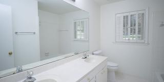 Renovated 5BR Home Minutes from Downtown Columbia | Two Full Kitchens + Fenced Yard ~ Available May 2026! Gallery 27