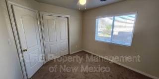 3004 Calla Lilly Gallery 19