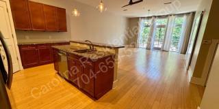 3100 North Davidson Street Gallery 22