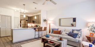 The Emerson at Forney Marketplace Gallery 3