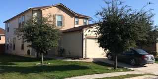 602 CORMORANT Gallery 1
