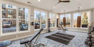 Berkley House Gallery 13