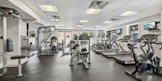 The Bexley Gallery 36