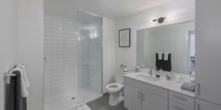 The Carson Gallery 12