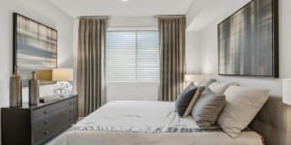 Palms Luxury Apartments Gallery 17