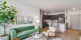 The Belle at the Lamar Gallery 59