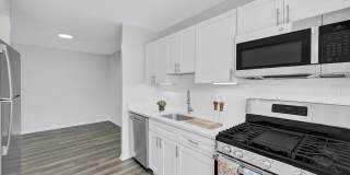 Reston Glade Gallery 2
