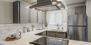 Milo at Mountain Park Gallery 1