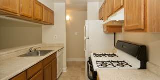 Wellington Woods Gallery 3