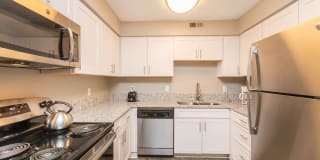 Sussex Downs Gallery 4