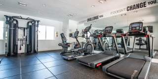 Legacy at Dadeland Gallery 11