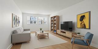 The Canvas Gallery 1