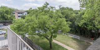 2220 Leon #202 Gallery 1