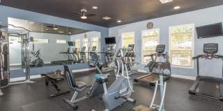 The Cove at Avon Lake Gallery 8