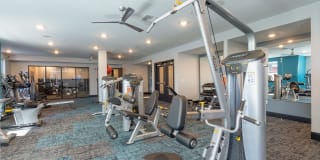 Meridian at the Port Gallery 48