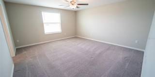 9831 LEMON DROP Loop Gallery 26