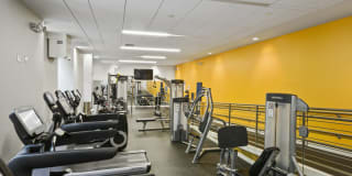 James and Harrison Court Gallery 15