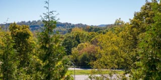 The Point at Still River Gallery 19