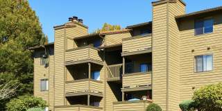 Woodcliffe Apartment Homes Gallery 20