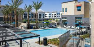 North Grove Gallery 1