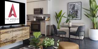 Adderley Adderley Gallery 12