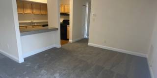 Hewitt Gardens Gallery 25