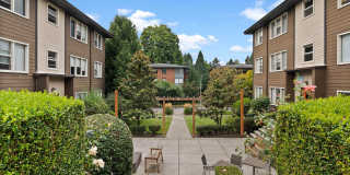 Cadence Apartments Cadence Apartments Gallery 51