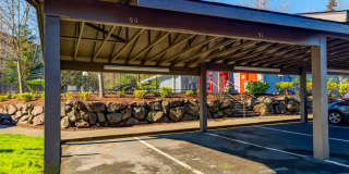 Vista Ridge Gallery 11