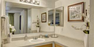 Paradise Falls Gallery 9