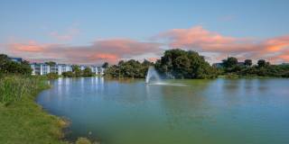 Costa Del Lago Gallery 15