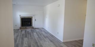 12300 Rock Canyon Dr Gallery 8