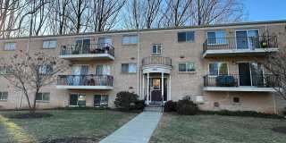 10607 MONTROSE Avenue unit: 102 Gallery 1