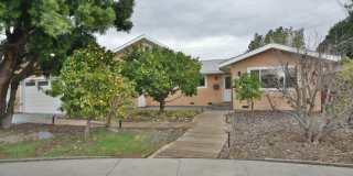 Unique Remodeled Home with European Style in West San Jose Unique Remodeled Home with European Style in West San Jose Gallery 1