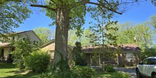 161 Milwood Drive Gallery 2
