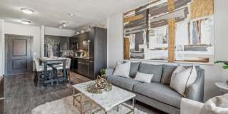 Terra at University North Park Gallery 8