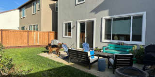 PET FRIENDLY Gallery 10