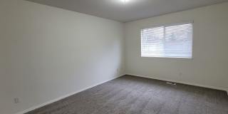 CDA Place Neighborhood- 4 bed with basement, cul de sac Gallery 24