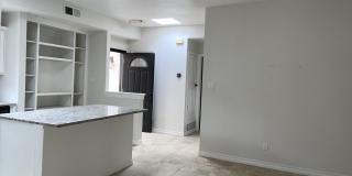 537 ROSINANTE Road Gallery 53