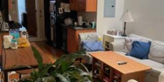 Great 4 Bedroom Available 9/1/26 Gallery 1