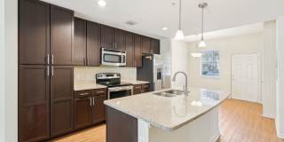 Dakota at Abacoa Gallery 19