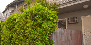 1215 Granville Ave. Gallery 7