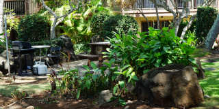 Coconut Inn Gallery 28